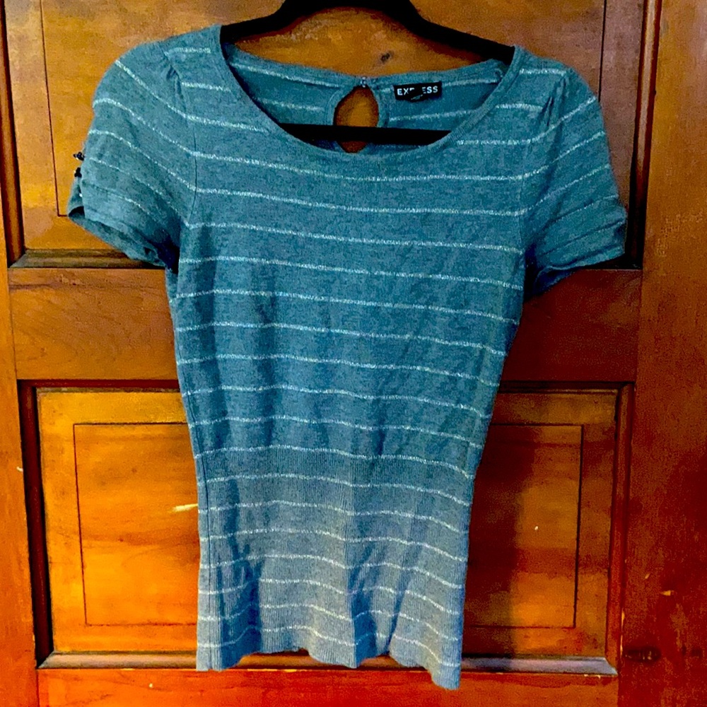 Express Gray and Silver Striped Shirt